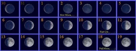 The Cycles Of The Moon
