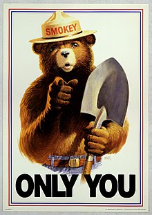 Uncle Sam style Smokey Bear Only You.jpg